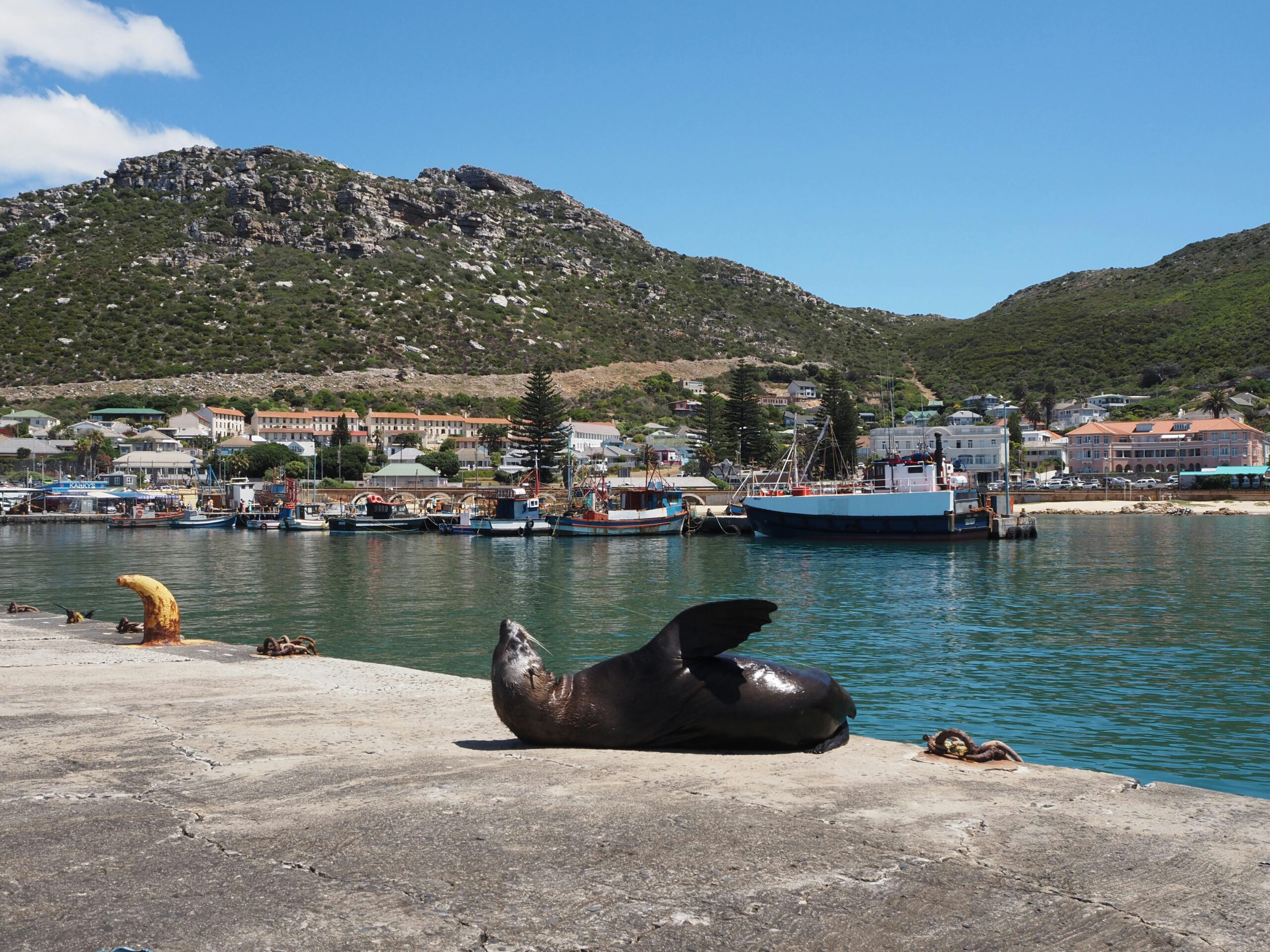 Kalk Bay Harbour