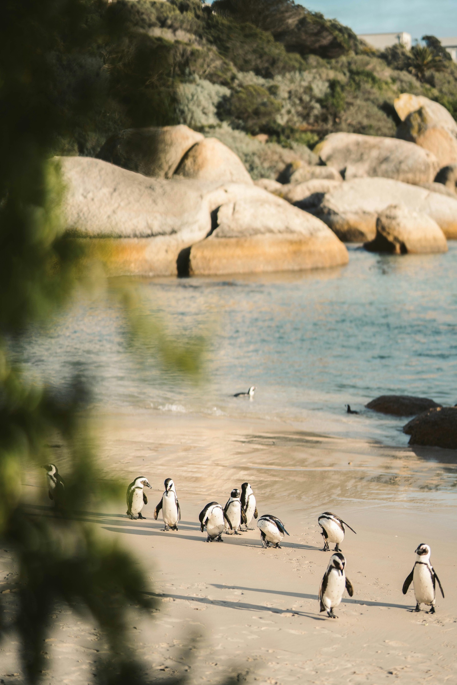 Granite boulders sheltering the swimming cove at Boulders Beach, Simon’s Town